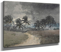 Storm, Bahamas By Winslow Homer Fine Art Print 2