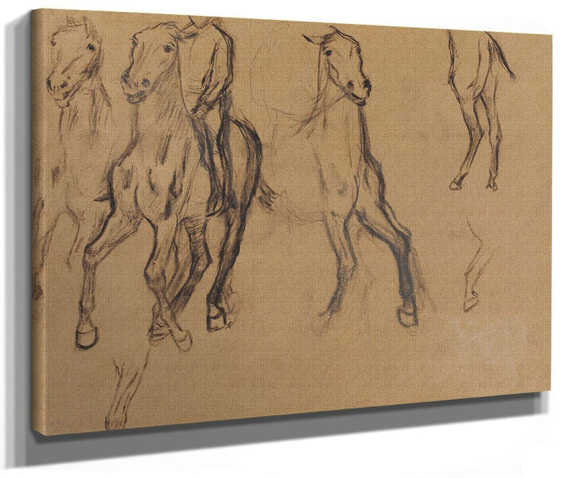Study Of Horses By Edgar Degas Fine Art Print 2