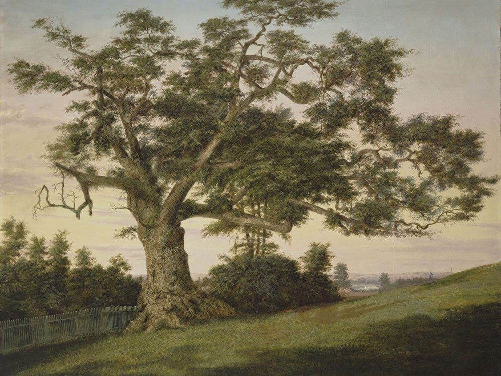 The Charter Oak By Charles De Wolf Brownell Fine Art Print 2