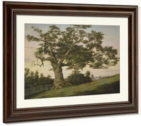 The Charter Oak By Charles De Wolf Brownell Fine Art Print 2