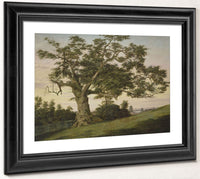 The Charter Oak By Charles De Wolf Brownell Fine Art Print 2