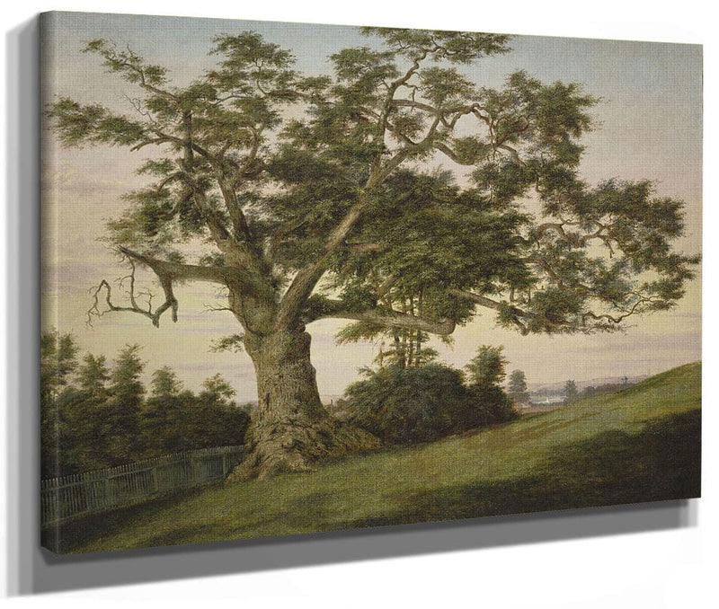 The Charter Oak By Charles De Wolf Brownell Fine Art Print 2