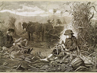 The Last Days Of Harvest By Winslow Homer Fine Art Print 2