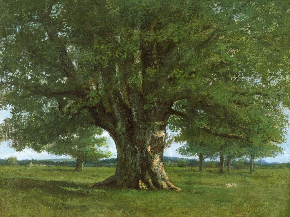 The Oak Of Flagey, Called Vercingetorix By Jean Desire Gustave Courbet Fine Art Print 2