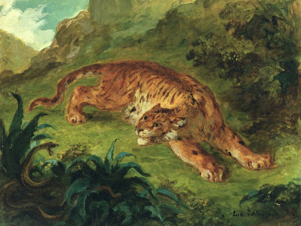 Tiger And Snake By Ferdinand Victor Eugene Delacroix Fine Art Print 2