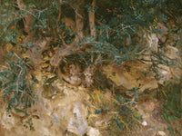 Valdemosa, Majorca Thistles And Herbage On A Hillside By John Singer Sargent Fine Art Print 2