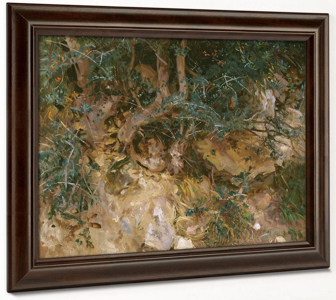 Valdemosa, Majorca Thistles And Herbage On A Hillside By John Singer Sargent Fine Art Print 2