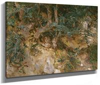 Valdemosa, Majorca Thistles And Herbage On A Hillside By John Singer Sargent Fine Art Print 2