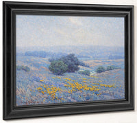 Wildflowers, Poppies, And Lupines By Granville Seymour Redmond Fine Art Print 2
