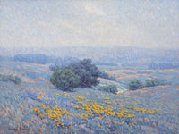 Wildflowers, Poppies, And Lupines By Granville Seymour Redmond Fine Art Print 2