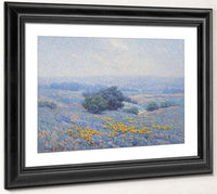 Wildflowers, Poppies, And Lupines By Granville Seymour Redmond Fine Art Print 2