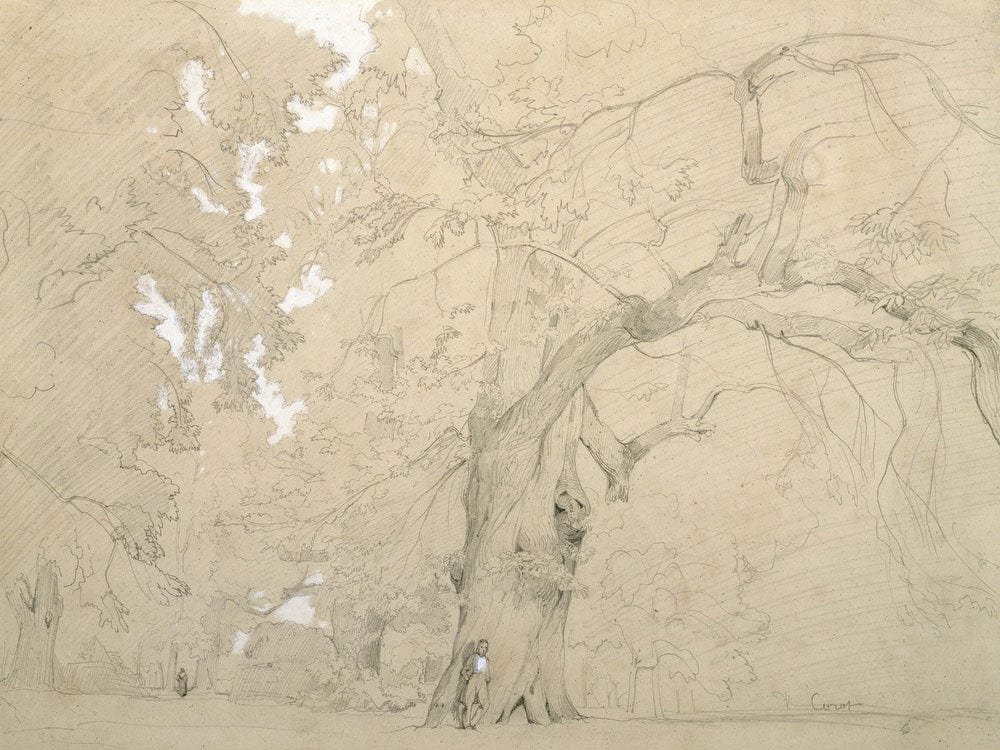 Young Man In Front Of A Great Oak By Jean Baptiste Camille Corot Fine Art Print 2