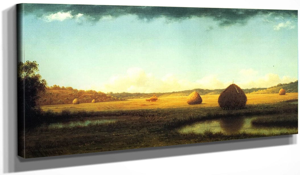 20" x 10" / Canvas Wrap Summer Showers By Martin Johnson Heade Fine Art Print