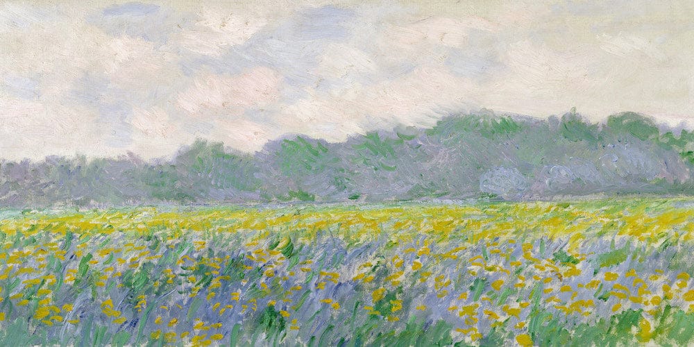 20" x 10" / Fine Art Paper Field Of Yellow Irises At Giverny By Claude Monet Fine Art Print