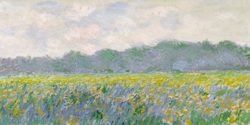 20" x 10" / Fine Art Paper Field Of Yellow Irises At Giverny By Claude Monet Fine Art Print