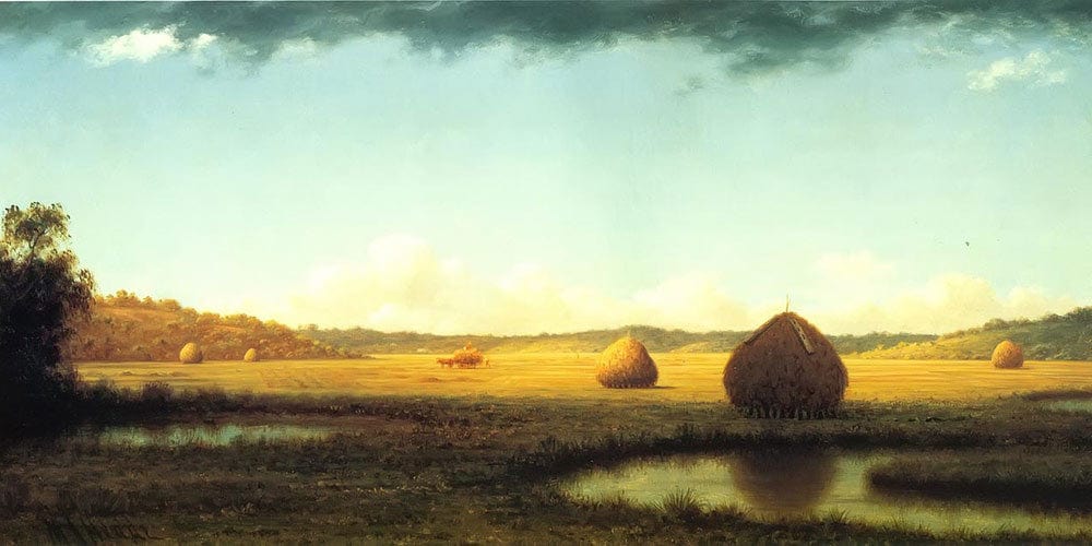 20" x 10" / Fine Art Paper Summer Showers By Martin Johnson Heade Fine Art Print
