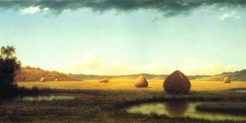 20" x 10" / Fine Art Paper Summer Showers By Martin Johnson Heade Fine Art Print
