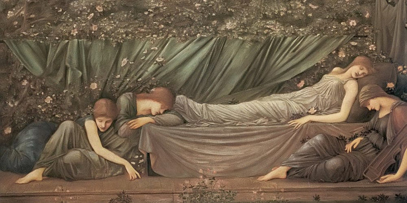 20" x 10" / Fine Art Paper The Sleeping Princess By John Waterhouse Fine Art Print