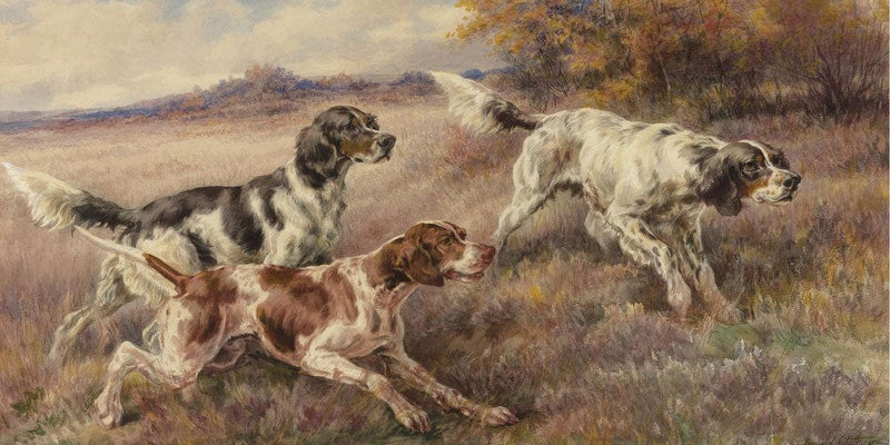 20" x 10" / Fine Art Paper Three Setters By Edmund Henry Osthaus Fine Art Print