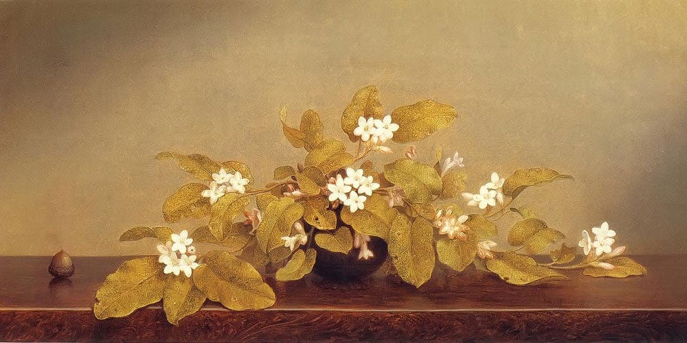 20" x 10" / Fine Art Paper Trailing Arbutus By Martin Johnson Heade Fine Art Print