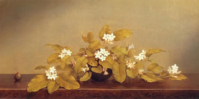 20" x 10" / Fine Art Paper Trailing Arbutus By Martin Johnson Heade Fine Art Print