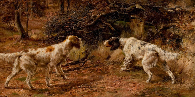 20" x 10" / Fine Art Paper Two Setters On Point By Edmund Henry Osthaus Fine Art Print