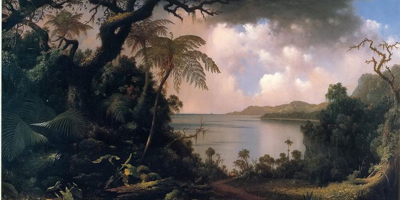 20" x 10" / Fine Art Paper View From Fern Tree Jamaica By Martin Johnson Heade Fine Art Print
