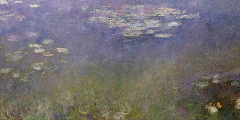 20" x 10" / Fine Art Paper Water Lilies (Agapanthus) By Monet Claude Fine Art Print