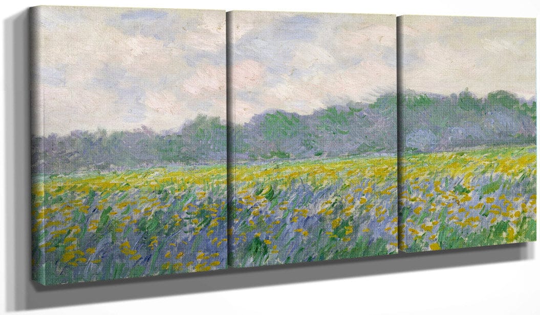 48" x 24" / Split Canvas Field Of Yellow Irises At Giverny By Claude Monet Fine Art Print