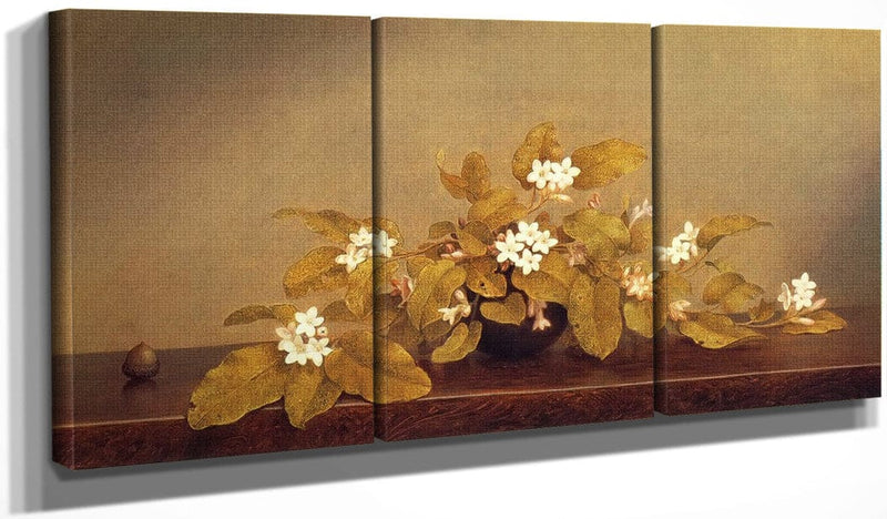 48" x 24" / Split Canvas Trailing Arbutus By Martin Johnson Heade Fine Art Print