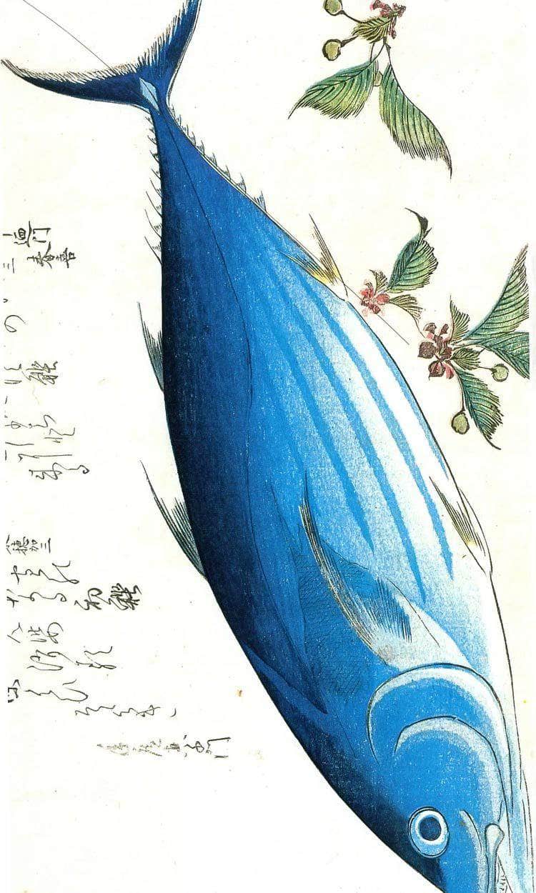 A Bonito By Hiroshige Fine Art Print