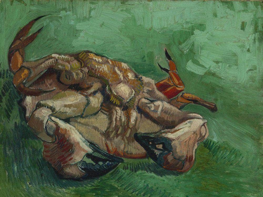 A Crab On Its Back By Vincent Van Gogh Fine Art Print