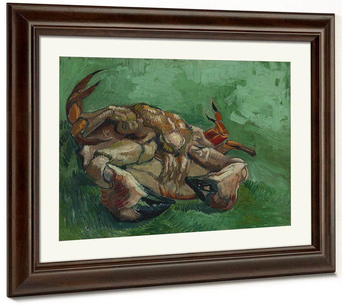 A Crab On Its Back By Vincent Van Gogh Fine Art Print