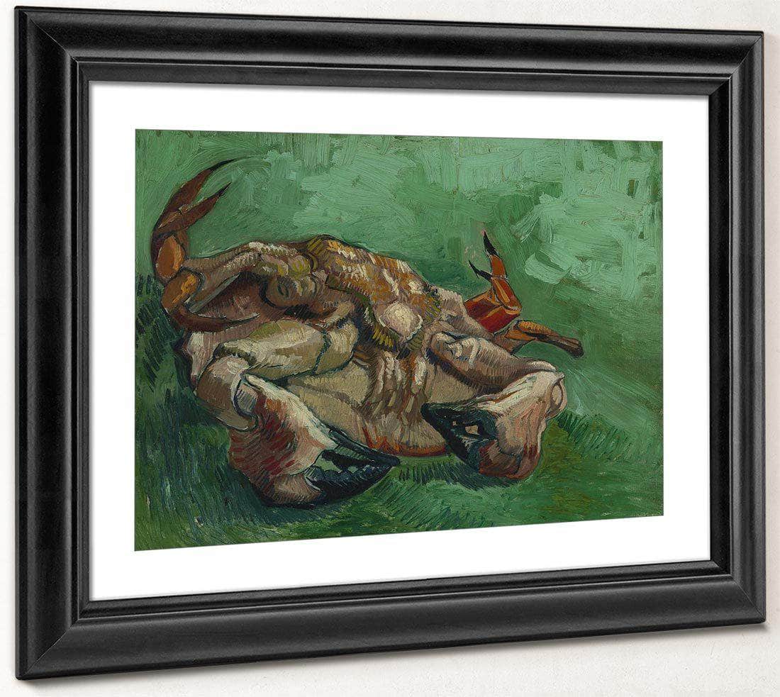 A Crab On Its Back By Vincent Van Gogh Fine Art Print