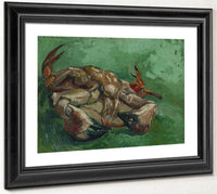 A Crab On Its Back By Vincent Van Gogh Fine Art Print