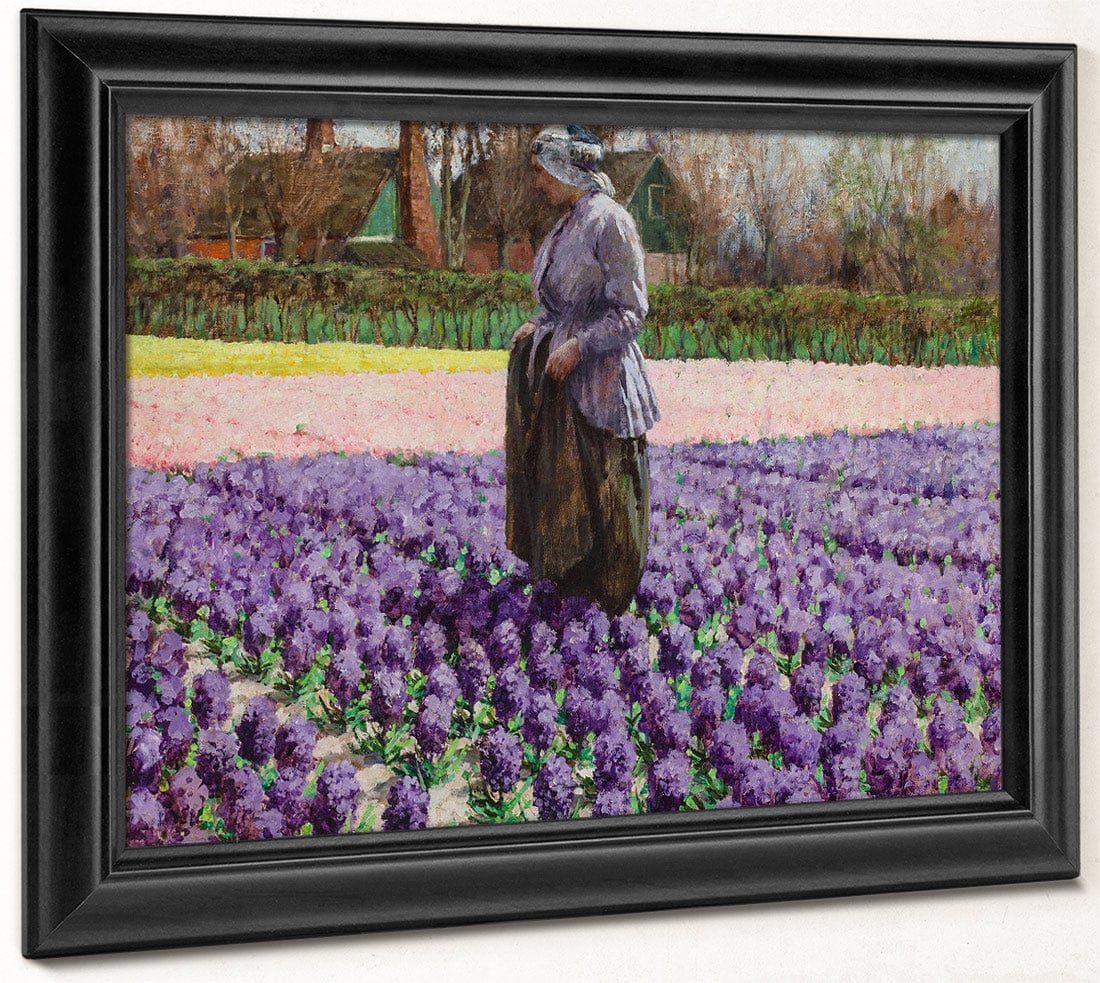 A Field Of Hyacinths, Holland By Walter Macewen Fine Art Print
