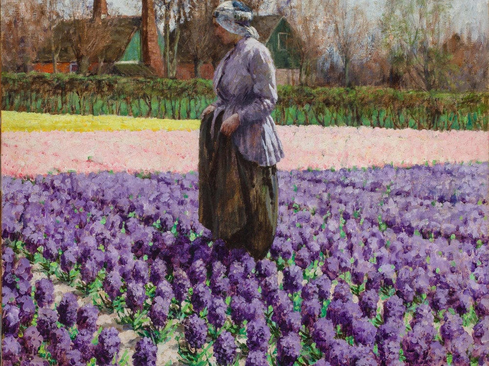 A Field Of Hyacinths, Holland By Walter Macewen Fine Art Print