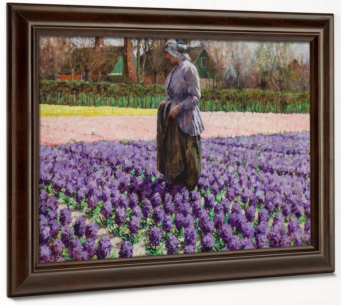 A Field Of Hyacinths, Holland By Walter Macewen Fine Art Print