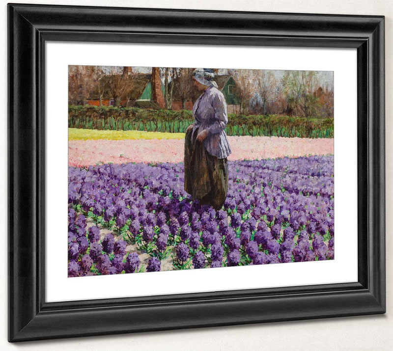 A Field Of Hyacinths, Holland By Walter Macewen Fine Art Print