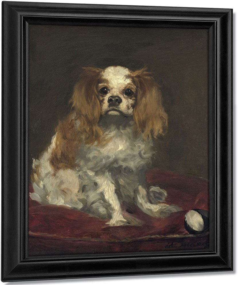 A King Charles Spaniel By Edouard Manet Fine Art Print