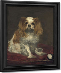 A King Charles Spaniel By Edouard Manet Fine Art Print