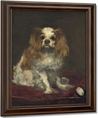 A King Charles Spaniel By Edouard Manet Fine Art Print
