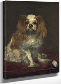 A King Charles Spaniel By Edouard Manet Fine Art Print