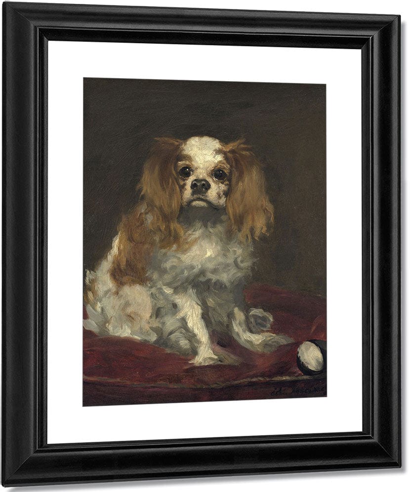 A King Charles Spaniel By Edouard Manet Fine Art Print