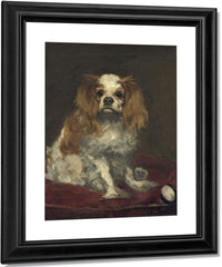 A King Charles Spaniel By Edouard Manet Fine Art Print
