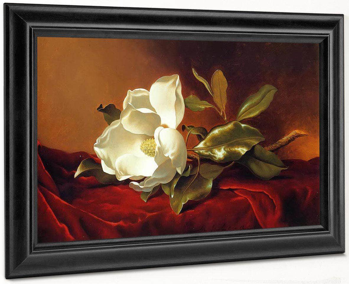 A Magnolia On Red Velvet By Martin Johnson Heade Fine Art Print
