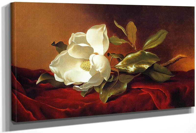 A Magnolia On Red Velvet By Martin Johnson Heade Fine Art Print