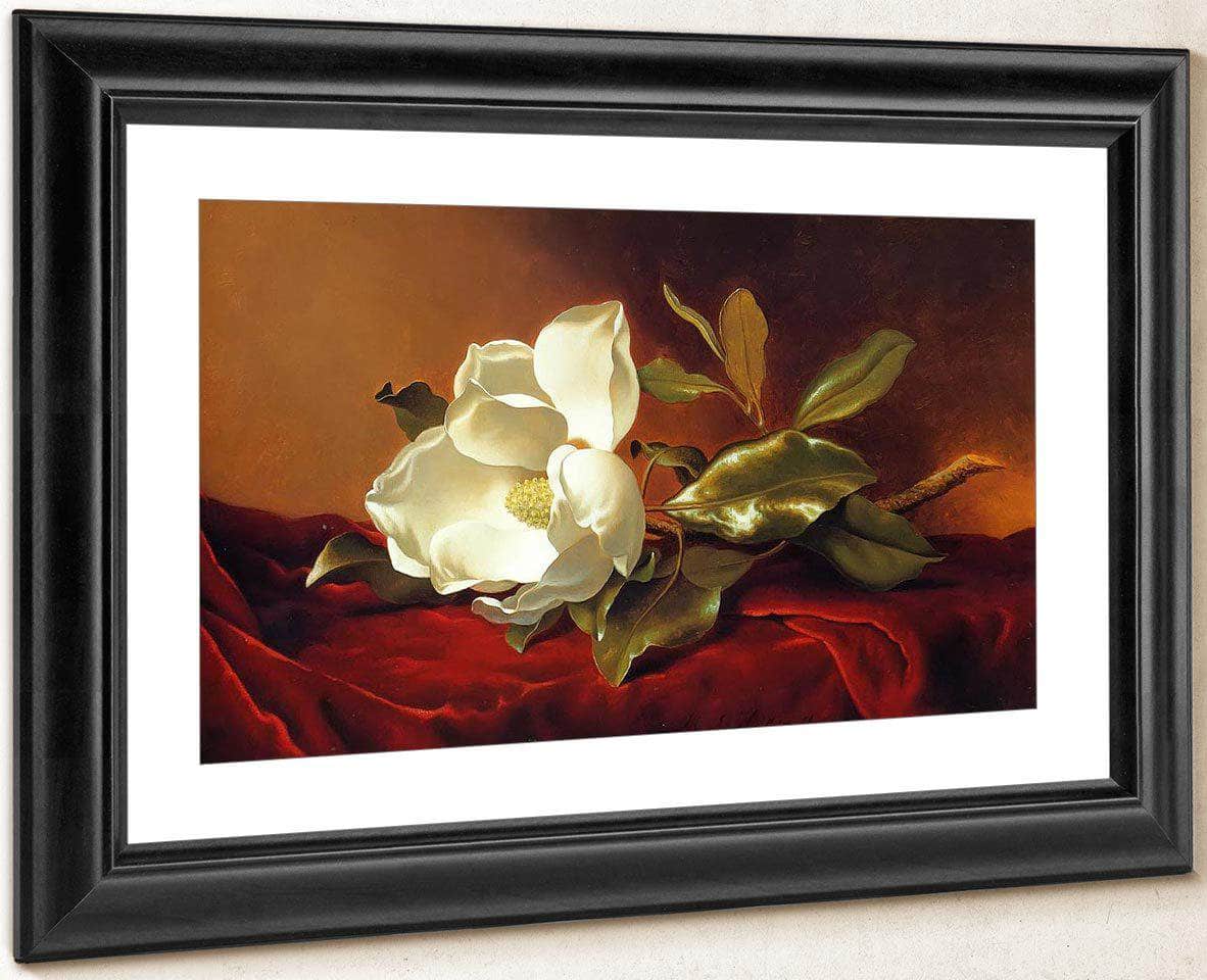 A Magnolia On Red Velvet By Martin Johnson Heade Fine Art Print