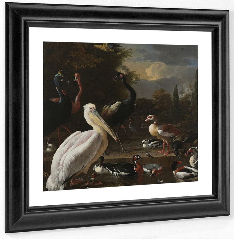 A Pelican And Other Birds Near A Pool Aka The Floating Feather By Melchior De Hondecoeter Fine Art Print