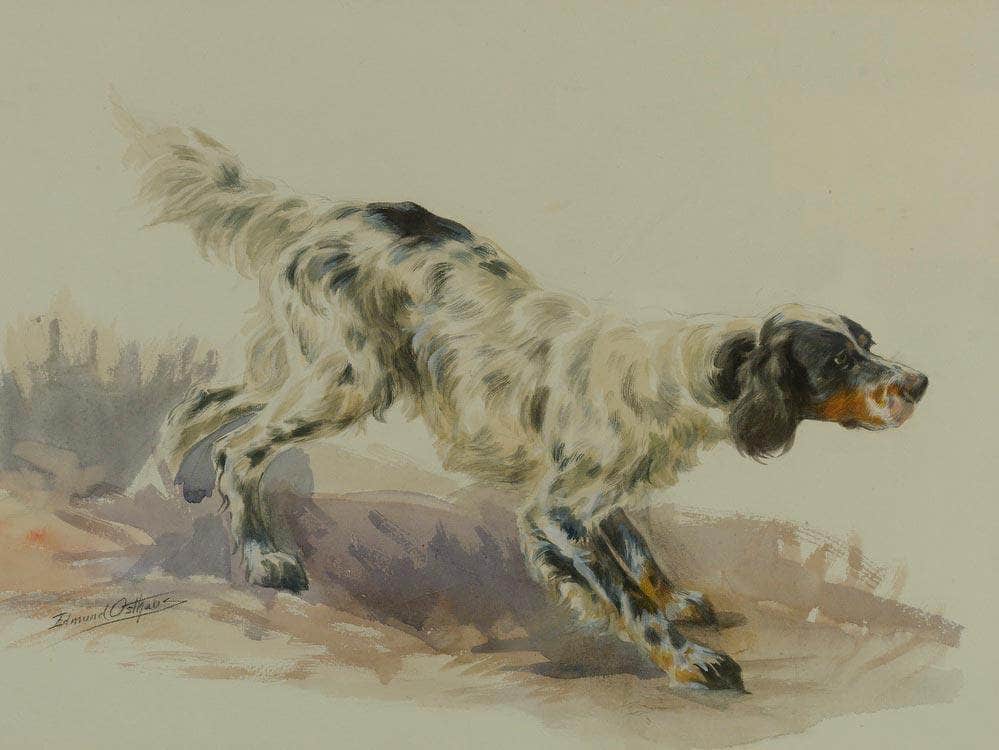 A Setter At Work By Edmund Henry Osthaus Fine Art Print